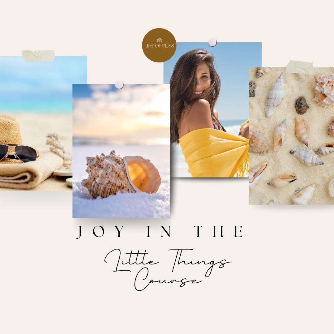Joy in the Little Things Course